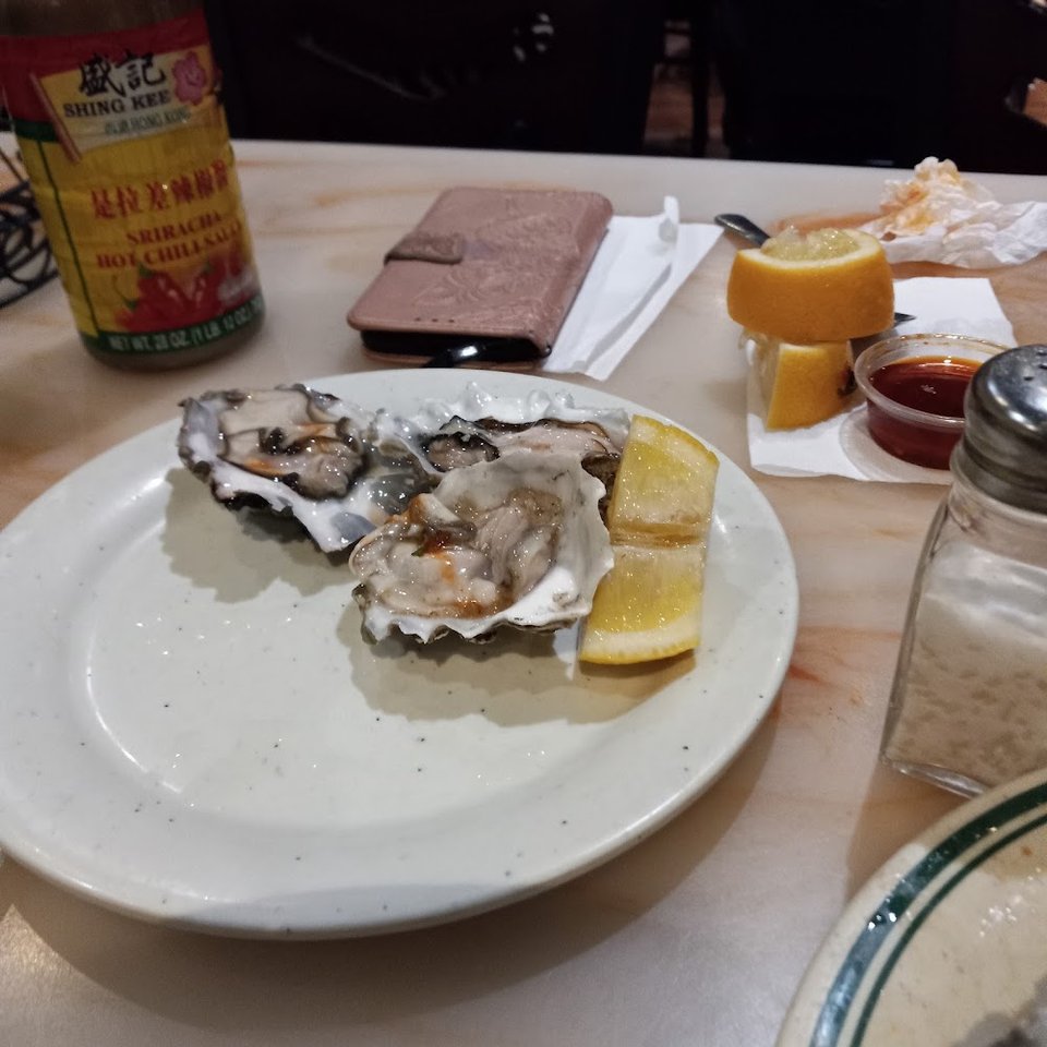 Oysters